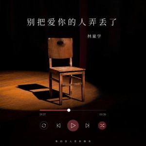 收聽林童學的別把愛你的人弄丟了歌詞歌曲