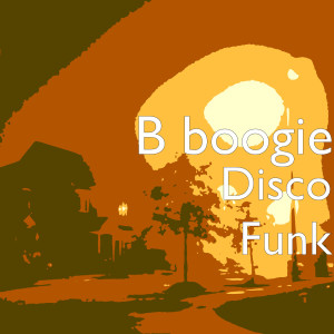 ดาวน์โหลดและฟังเพลง Disco Funk พร้อมเนื้อเพลงจาก B boogie