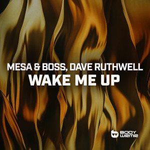 Album Wake Me Up from Dave Ruthwell