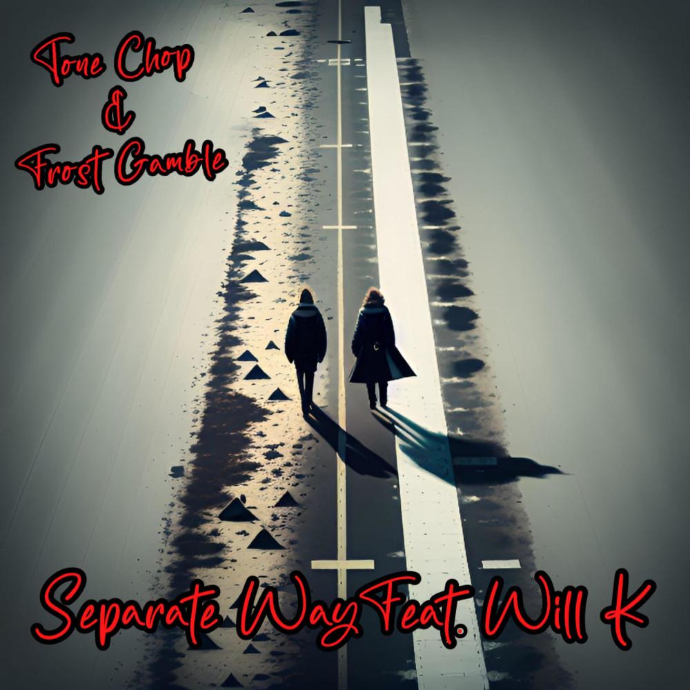 Separate Way (feat. Will K) (Explicit)
