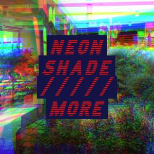 Album More from Neon Shade