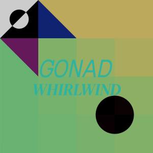 Album Gonad Whirlwind from Various