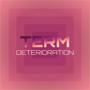 Various的专辑Term Deterioration