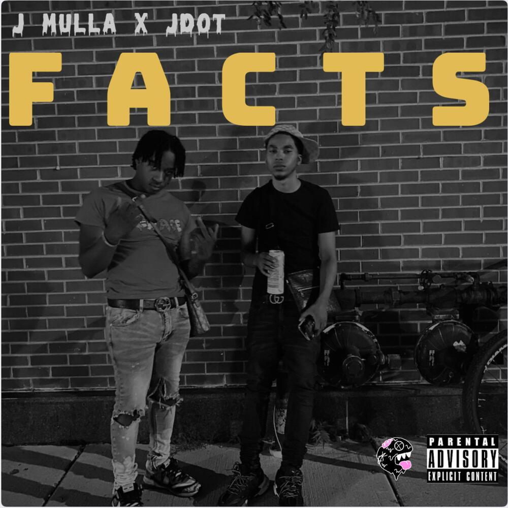Facts (Explicit)
