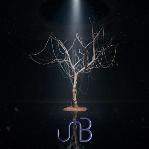 Album BOYHOOD from 유앤비