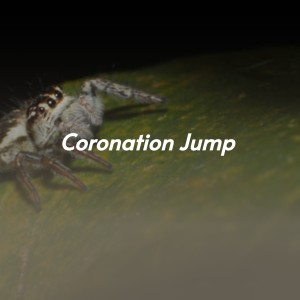 Dengarkan lagu Love Is Strange (Live) nyanyian The Everly Brothers dengan lirik