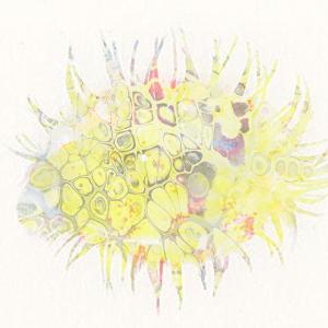 收聽Nephminaj的toe tag (feat. joolxy) (Explicit)歌詞歌曲