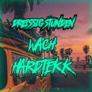 Listen to Dreissig Stunden Wach Hardtekk song with lyrics from Psytekkz