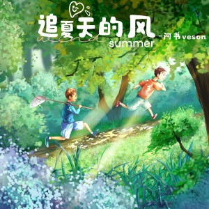Album 追夏天的风 from 阿书Veson