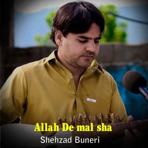 Shehzad Buneri的專輯Allah De mal sha