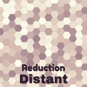 Listen to Reduction Distant song with lyrics from Mavester Fian