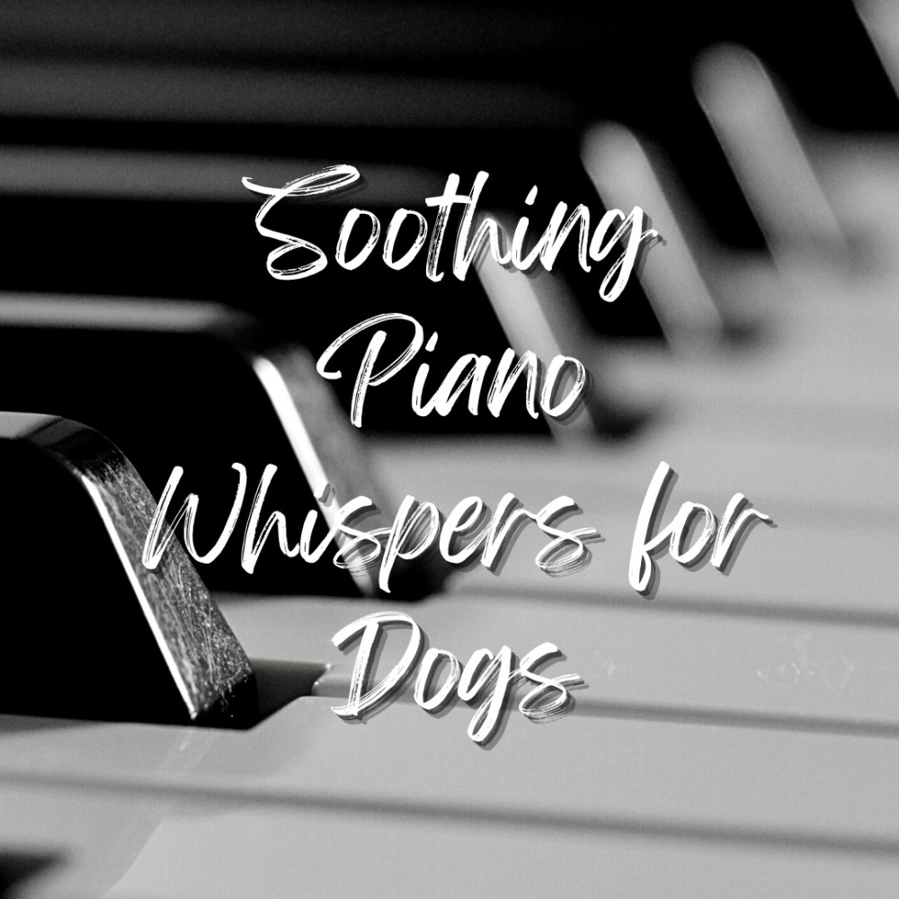 Celestial Bonding: Piano Melodic Connection with Canines