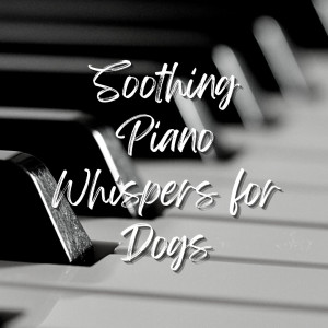 อัลบัม Soothing Piano Whispers for Dogs ศิลปิน Smooth Lounge Piano