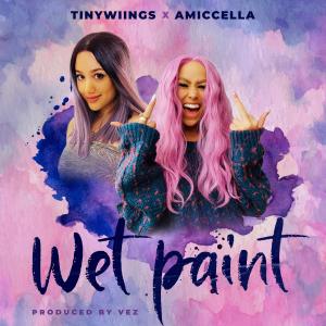Listen to Wet Paint (Explicit) song with lyrics from Tinywiings