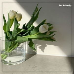 Listen to 사랑이 찾아왔어 (feat. 루오) song with lyrics from 미스터 프랜들리