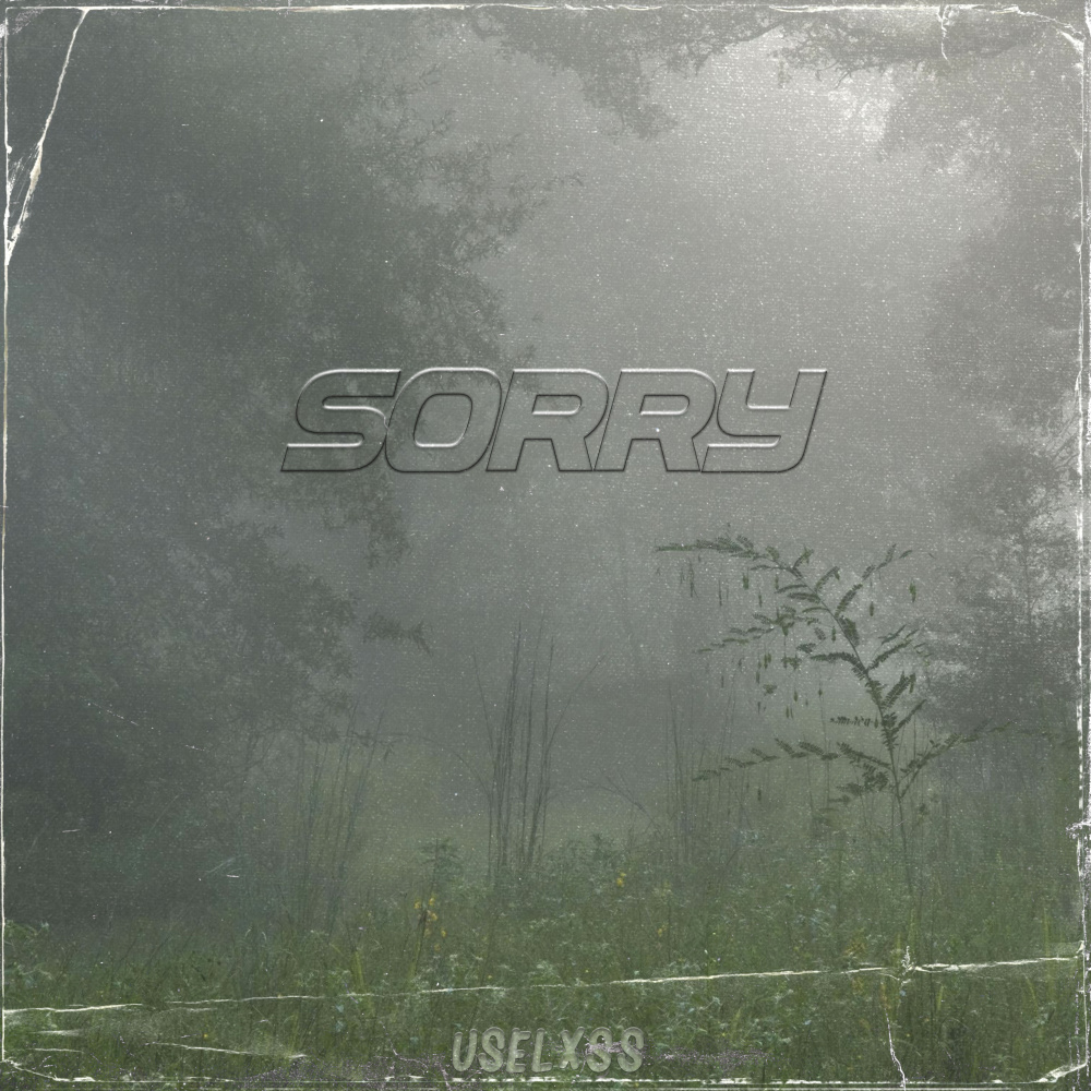 Sorry (Explicit)