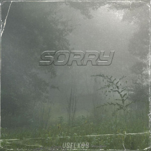 ดาวน์โหลดและฟังเพลง Sorry (Explicit) พร้อมเนื้อเพลงจาก USELXSS