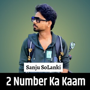 Listen to 2 Number Ka Kaam (Rajasthani) song with lyrics from Sanju Solanki