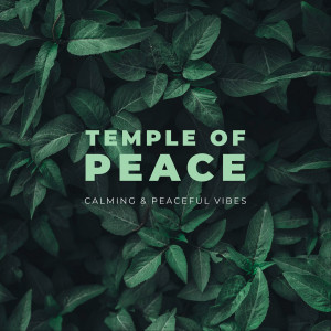 Album Temple of Peace from Calming