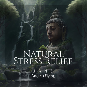 Jane - Angela Flying的专辑Therapeutic Lands of Thai Gardens
