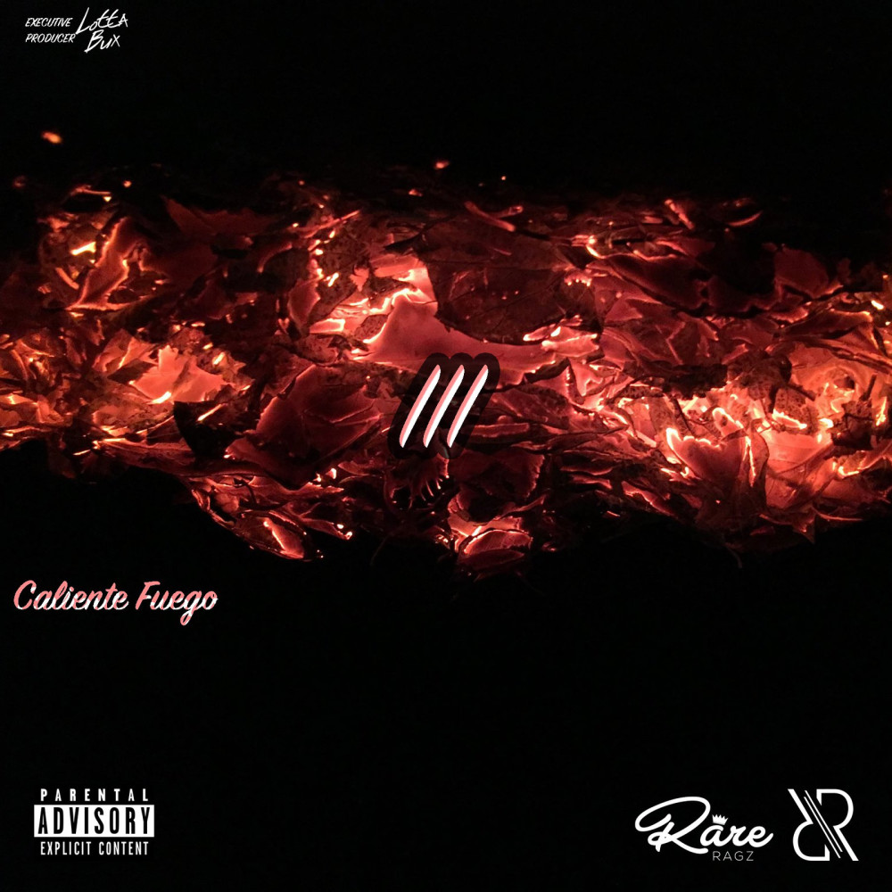Ragz 2 Riches Pt. 2 (Explicit)