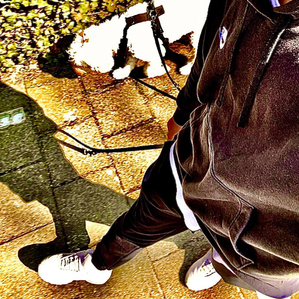 zuidpool (Explicit)