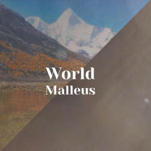 收听Valeer Alon的Unfettered Wherewithal歌词歌曲