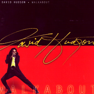 收聽David Hudson的Searcher歌詞歌曲