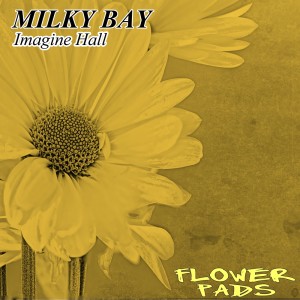 Listen to Imagine Hall (Nu Ground Foundation Soul Mix) song with lyrics from Milky Bay