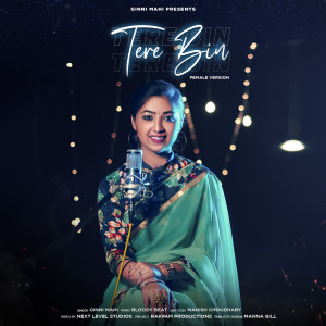 Listen to Tere Bin (Cover Version) song with lyrics from Ginni Mahi