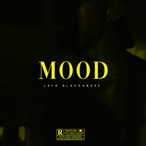 Listen to Mood (Explicit) song with lyrics from Layo Blackaneze