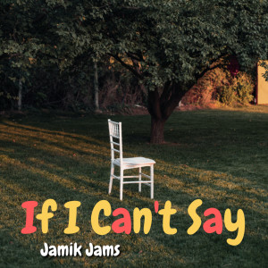 Dengarkan lagu If I Can't Say nyanyian Jamik Jams dengan lirik