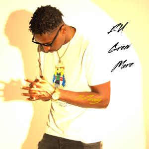 2Floody的專輯FU GREW MORE (Explicit)