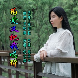 为爱又把我喝醉 dari 倪尔萍