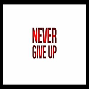 Album Never Give Up from Malika