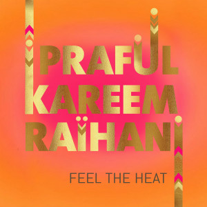 收聽Kareem Raïhani的Feel the Heat歌詞歌曲