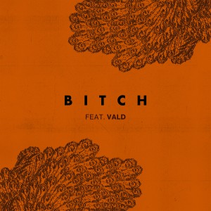 收聽Lefa的Bitch (feat. Vald) (Explicit)歌詞歌曲