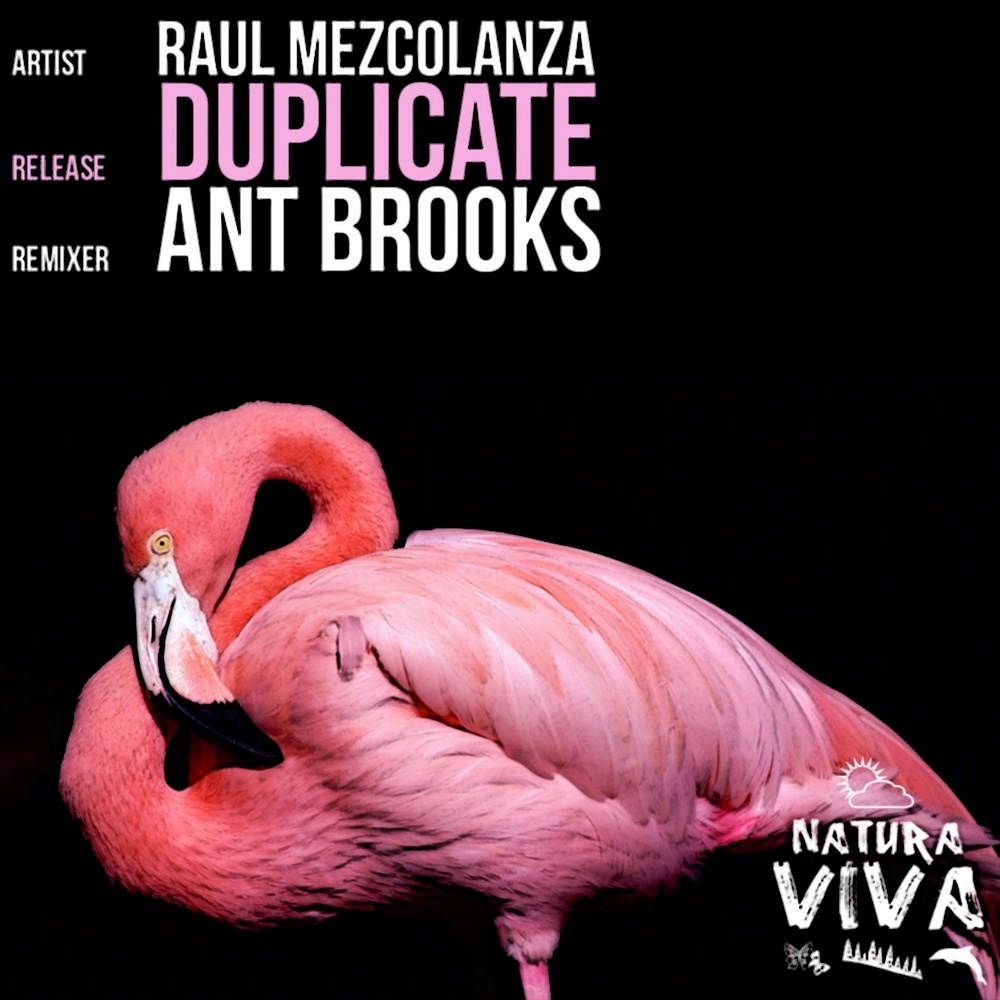 Duplicate (Ant Brooks Remix)