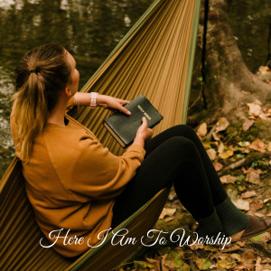 ดาวน์โหลดและฟังเพลง Here I Am To Worship พร้อมเนื้อเพลงจาก Praise and Worship Orchestra