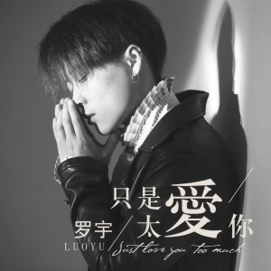收聽羅宇的只是太愛你歌詞歌曲