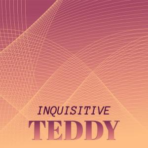 Various Artists的專輯Inquisitive Teddy