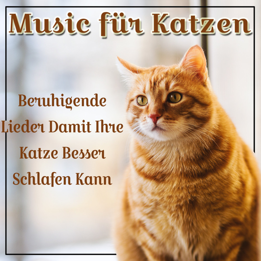 Katzen Symphonie