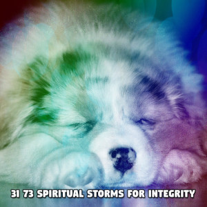 31 73 Spiritual Storms for Integrity