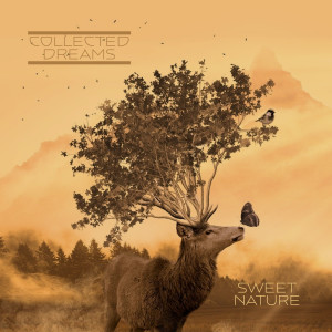 Dengarkan lagu Sweet Nature nyanyian Collected Dreams dengan lirik