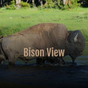 Listen to Bison View song with lyrics from Bete Wiky