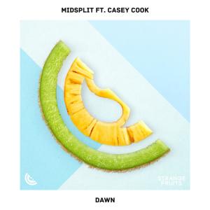 Dengarkan lagu Dawn(feat. Casey Cook) nyanyian Midsplit dengan lirik
