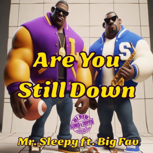Mr. Sleepy的專輯Are You Still Down (feat. Big Fav) [Slowed & Chopped]