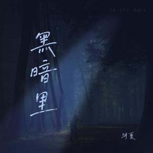 Dengarkan lagu 黑暗里 nyanyian 玥夏 dengan lirik