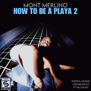 Listen to South Flawda (Explicit) song with lyrics from Mont Merlino
