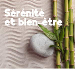 ดาวน์โหลดและฟังเพลง La Sérénité พร้อมเนื้อเพลงจาก Bien-être Spa Musique Collection